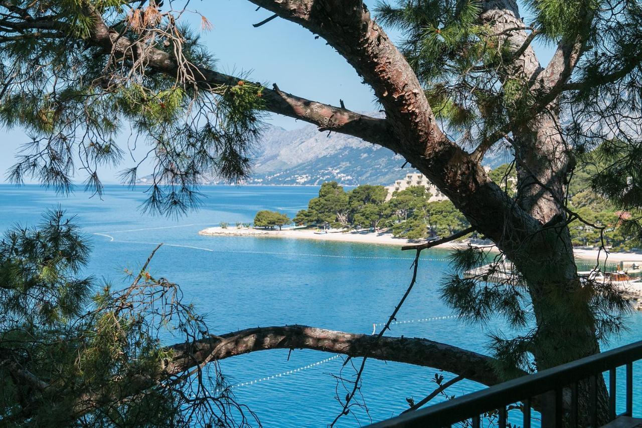 Apartments By The Sea Brela, Makarska - 16950 المظهر الخارجي الصورة