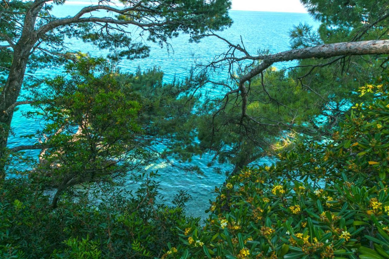 Apartments By The Sea Brela, Makarska - 16950 المظهر الخارجي الصورة